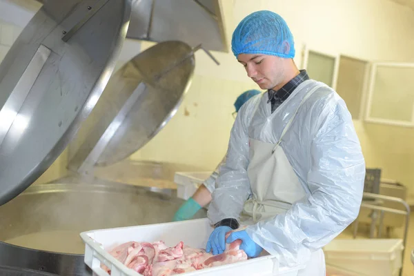 Arbetstagare i kycklingbearbetningsfabrik — Stockfoto