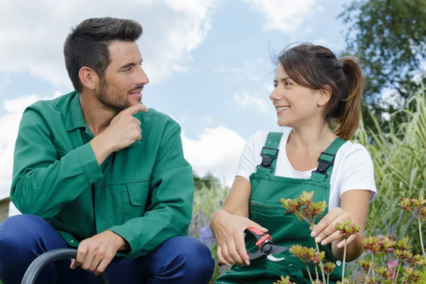 Homem gardeber falando com colega — Fotografia de Stock