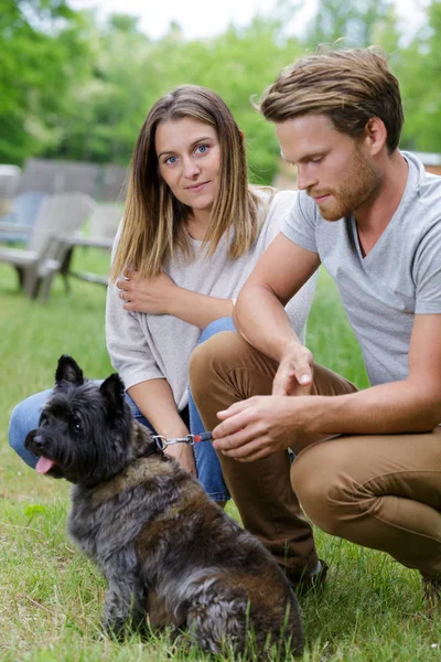 Jovem casal sorridente com pequeno cão relaxante na natureza — Fotografia de Stock