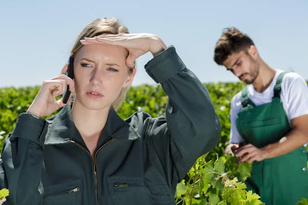 Elle est au téléphone pendant la vendange des raisins — Photo