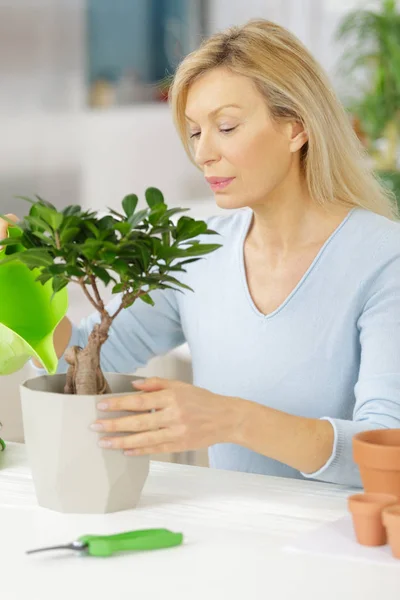 Eine Seniorin wässert die Pflanzen — Stockfoto