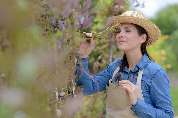 Woman Gardening Smiling — Stock Photo, Image