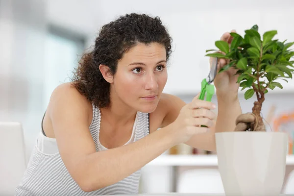 Young Enthusiastic Female Gardener Taking Care Bonsai Plants — Stock Photo, Image