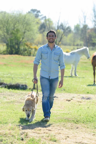 Man Walking Dog Meadow Horses Background — Stock Photo, Image