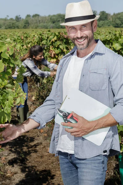 Ein Arbeiter Einem Weinberg — Stockfoto