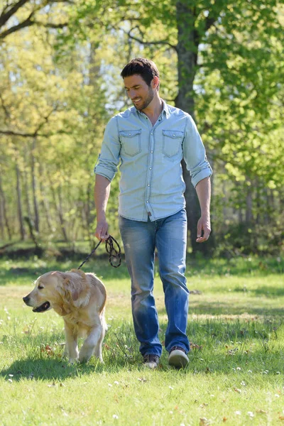 Mann Geht Mit Hunden Spazieren — Stockfoto