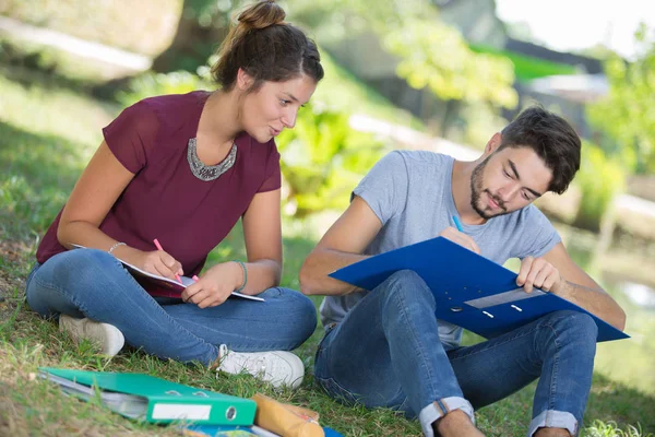 Giovane Coppia Che Studia Insieme All Aperto — Foto Stock