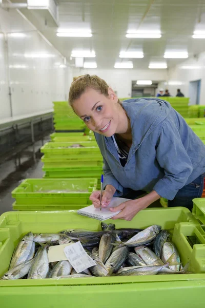 Mujer Que Trabaja Una Fábrica Pescado —  Fotos de Stock