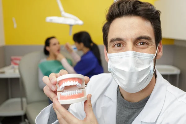 Uno Studente Medicina Che Impara Odontoiatria — Foto Stock