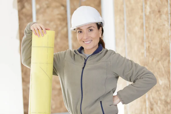 Arbeiterin Ersetzt Wände — Stockfoto