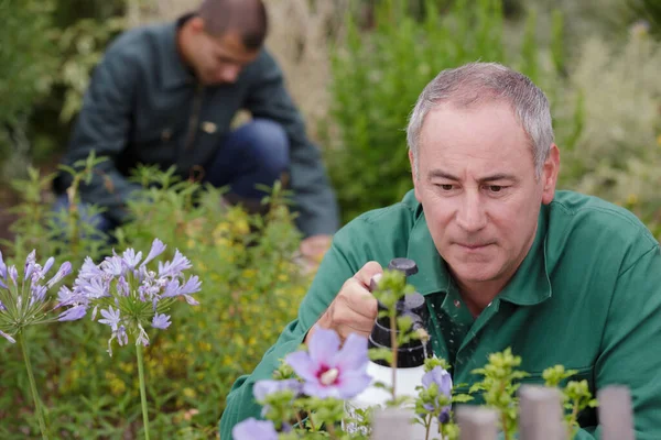 Brickor Med Trädgårdsblommor Plantskola — Stockfoto