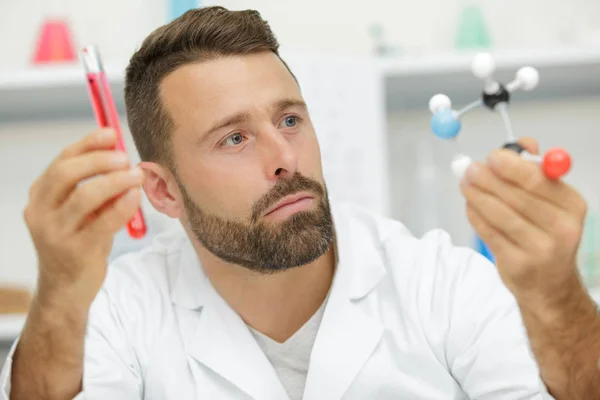 Young Scientist Holding Molecular Model Private Clinic — Stock Photo, Image