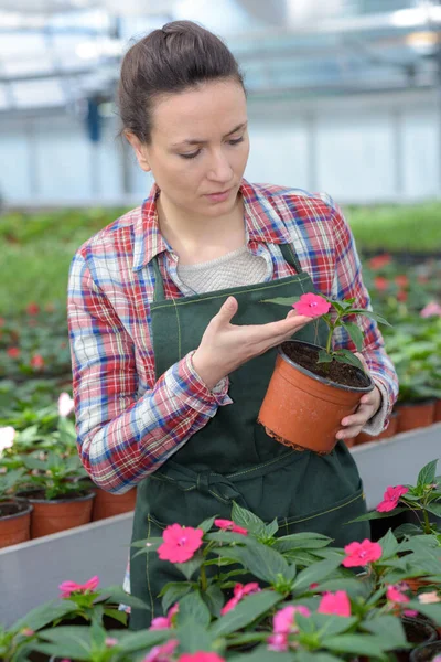 Vrouw Met Bloem Groen Plant Portret Ecologie Concept — Stockfoto