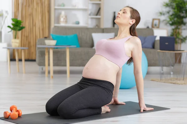 Kobieta Ciąży Podczas Treningu Fitness — Zdjęcie stockowe