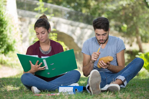 Estudantes Universitários Trabalhando Juntos Livre — Fotografia de Stock