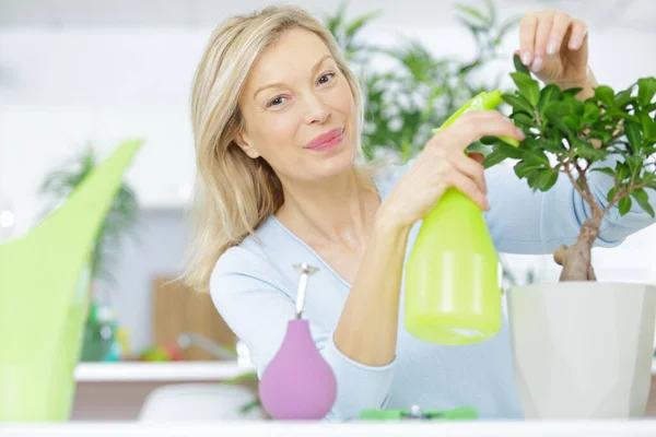 Kvinna Sprutar Vatten Bonsai Träd Och Ler — Stockfoto