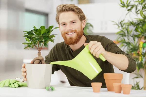 Mężczyzna Ogrodnik Podlewanie Bonsai Drzewo — Zdjęcie stockowe