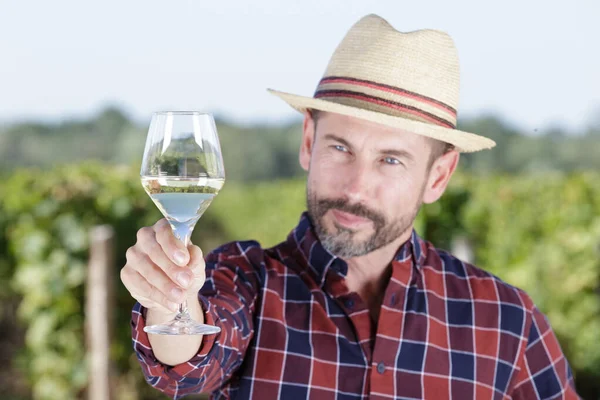Vinicultor Com Copo Vinho Vinha — Fotografia de Stock
