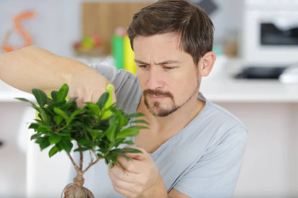 Man Maken Van Japanse Stijl Kleine Tuin — Stockfoto