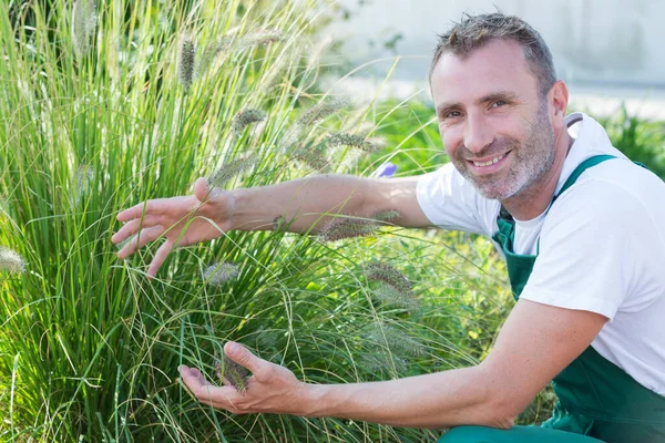 Man Trädgårdsmästare Håller Gräs — Stockfoto