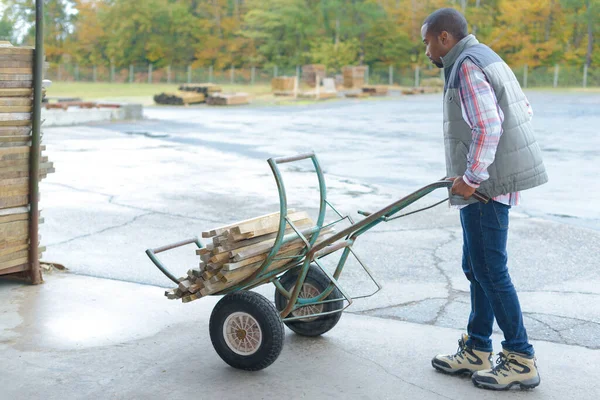 Transportiert Holz — Stockfoto