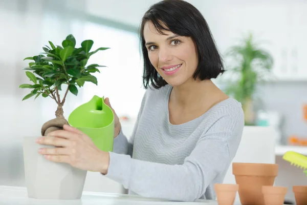 Jovem Jardineiro Feminino Feliz Cuidando Bonsai — Fotografia de Stock