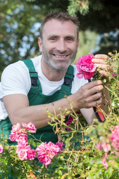 Gärtner Arbeitet Mit Blumen — Stockfoto
