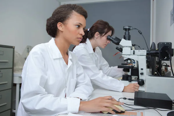 Ženy Pracující Laboratoři Pomocí Počítače Mikroskopu — Stock fotografie
