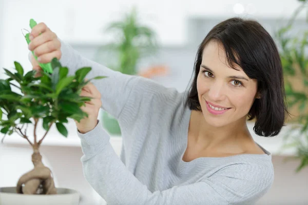 Een Vrouw Trimt Een Bonsai — Stockfoto