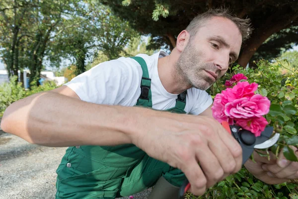 Männliche Arbeiter Hand Schnittblumen — Stockfoto