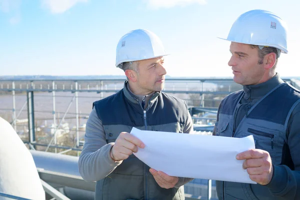 Porträt Von Wirtschaftsarchitekten Die Pläne Prüfen — Stockfoto