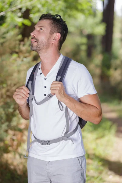 Male Hiker Lost Forest — Stock Photo, Image