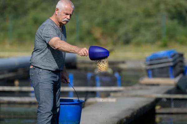 Homme Jetant Des Aliments Pour Poissons Dans Étang — Photo