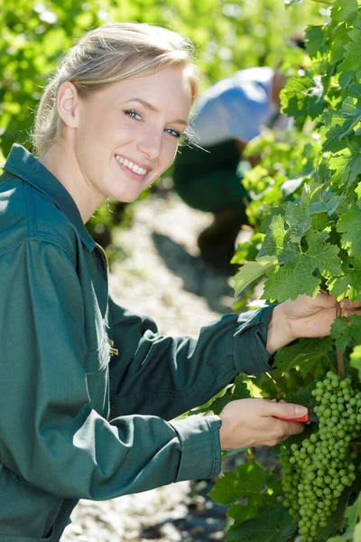 Happy Woman Vineyard — Stock Photo, Image
