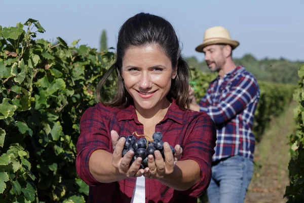 Mujer Sosteniendo Uva Roja Mano Uva Harvesthealthy Fruta — Foto de Stock