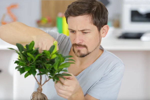 盆栽の世話をする男 — ストック写真