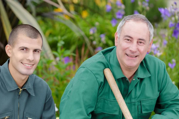 Two Men Caring Plants — Stock Photo, Image