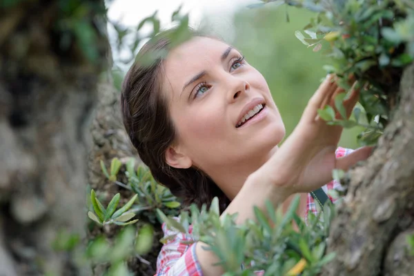 Frau Garten Kontrolliert Obstbaum — Stockfoto