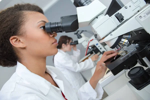 Laboratorieassistent Som Undersöker Mikroskopets Ögonbryne — Stockfoto