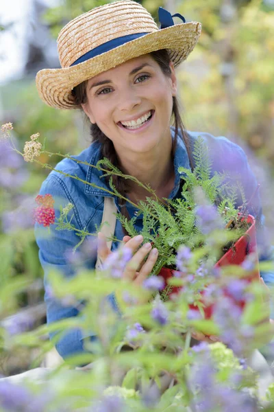 Bahçedeki Şapkalı Kadın — Stok fotoğraf