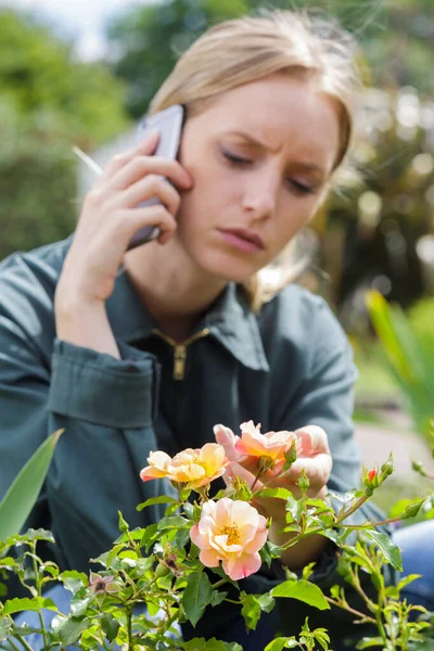 Femme Jardinier Téléphone Tout Occupant Des Plantes — Photo