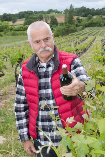 Botella Vino Como Producto Uva — Foto de Stock