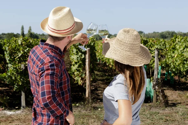 ブドウ畑でワインのグラスを持ってロマンチックなカップル — ストック写真