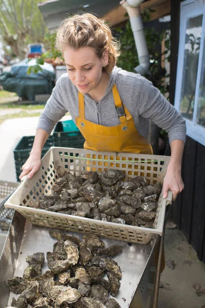 女性農民市場 で新鮮な牡蠣を販売 — ストック写真