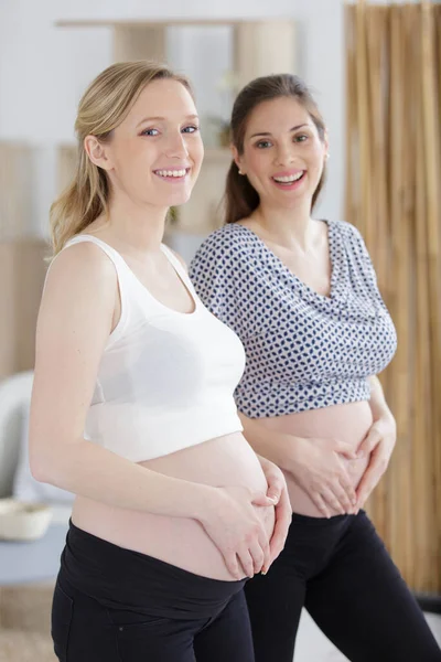 Két Terhes Barátnő Kamerába Néz — Stock Fotó