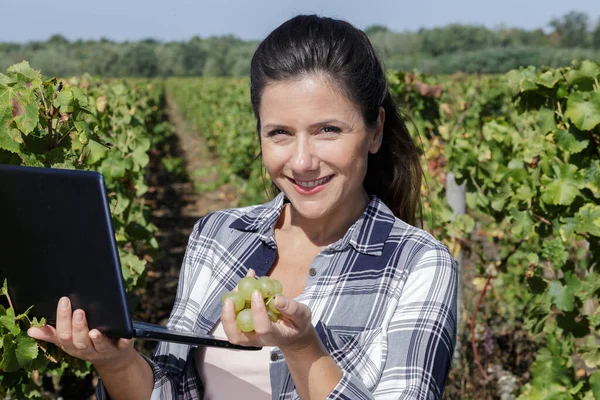 Vrolijke Vrouwelijke Ingenieur Met Een Laptop Computer Wijngaard — Stockfoto