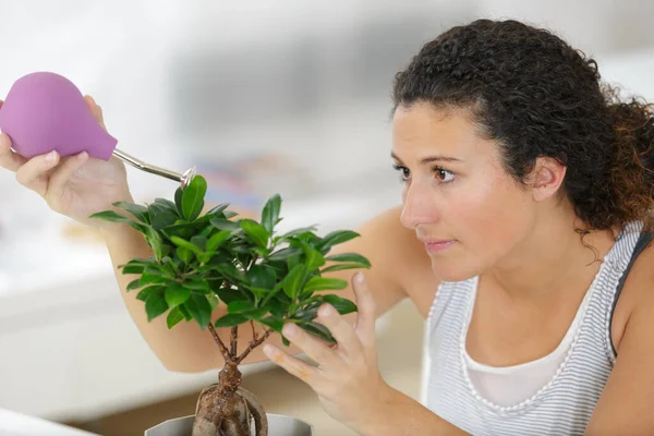 Seorang Wanita Adalah Menyiram Bonsai Sebuah — Stok Foto