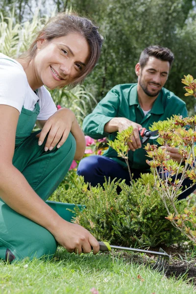 Los Trabajadores Del Jardín Haciendo Mantenimiento — Foto de Stock