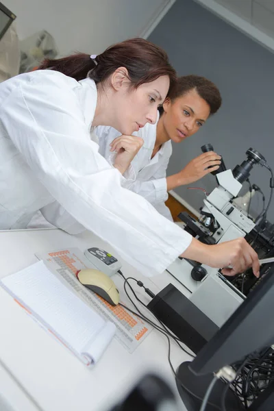 Team Van Wetenschappers Een Laboratorium Bezig Met Chemische Testen — Stockfoto