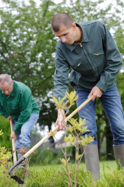 Jeune Homme Ratissant Des Feuilles Dans Jardin — Photo